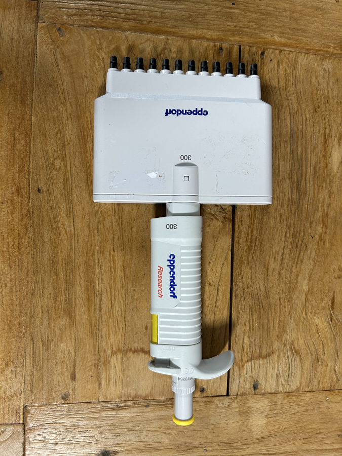 Eppendorf Research 30-300 uL 12-Channel Multi-Channel Pipette PhysioCare, photo 2 of 5